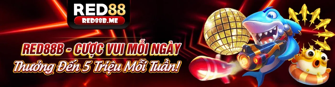 Hình ảnh chính về Điều Khoản & Điều Kiện của VB66